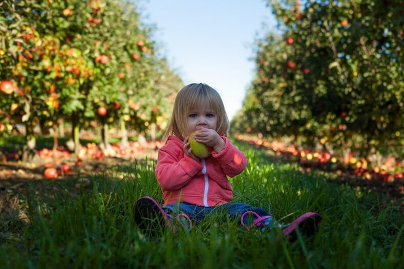 Children with a diagnosis of diabetes mellitus can use ugly fruits